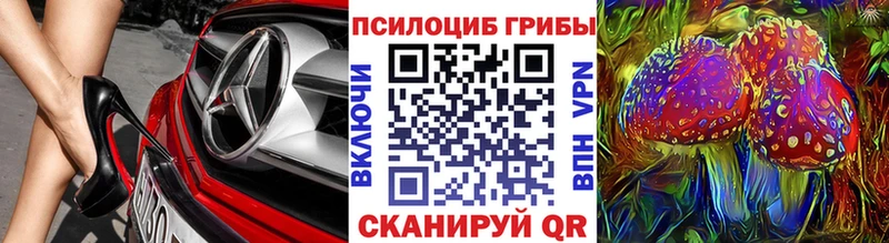 Псилоцибиновые грибы Psilocybe  Купить  Динская 